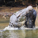 Crocodile Express Daintree Rainforest & Wildlife Cruise From Daintree Ferry Gateway - We Wander