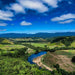 Crocodile Express Daintree Rainforest & Wildlife Cruise From Daintree Village - We Wander