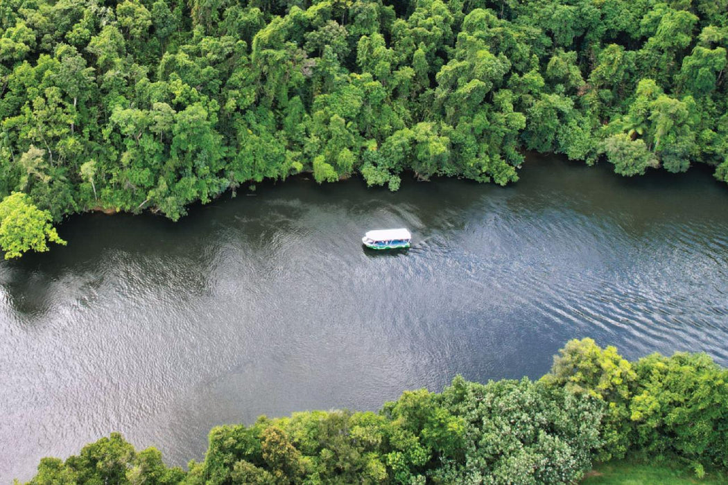 Crocodile Express Daintree River Cruise Daintree Village & Daintree Discovery Centre Unlimited Pass - We Wander