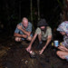 Daintree Rainforest Night Walk Tour - We Wander