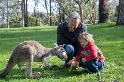 Day Entry At Cleland Wildlife Park - We Wander