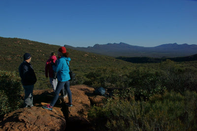 Daybreak Summit Walk - We Wander