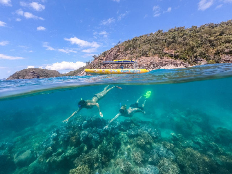 Daydream Island Northern Exposure Tour - We Wander