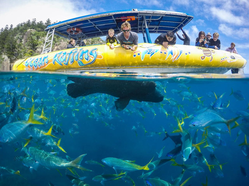 Daydream Island Southern Lights Tour - We Wander