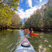 Dolphin Sanctuary Mangroves Tour - We Wander