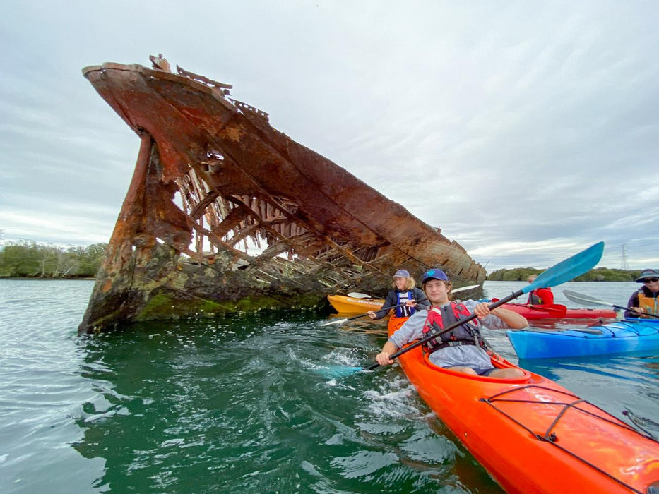 Dolphin Sanctuary & Ships Graveyard Kayak Tour - We Wander