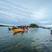 Dolphin Sanctuary & Ships Graveyard Kayak Tour - We Wander