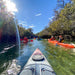 Dolphin Sanctuary & Ships Graveyard Kayak Tour - We Wander