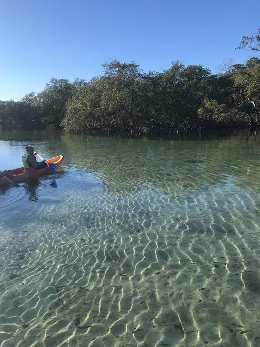 Double Kayak Rental In Brunswick River - We Wander