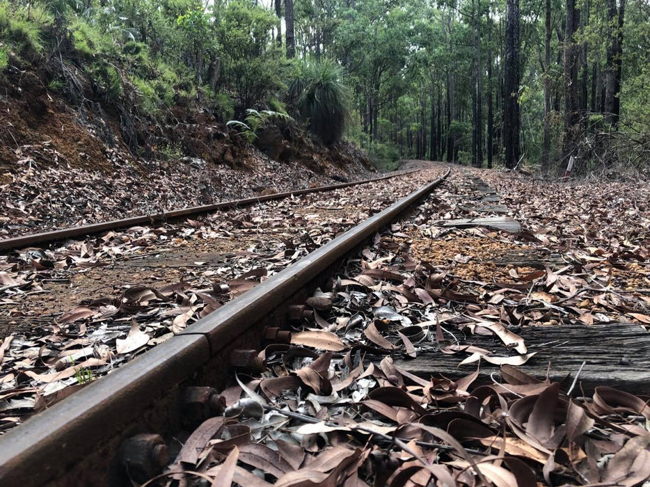 Dwellingup Trains, Trails & Woodfired Delights - We Wander