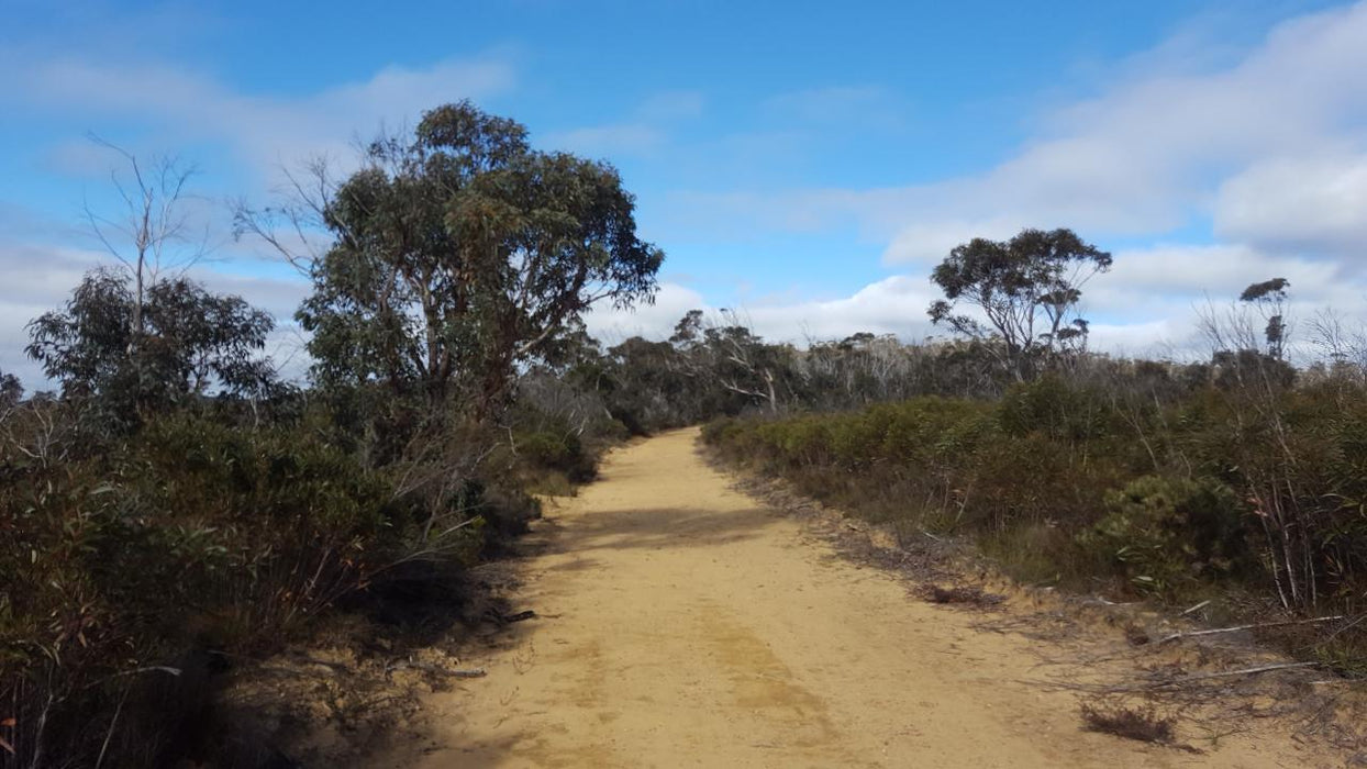 E - Bike (Electric) Guided Tour - Half Day - Hanging Rock - Blackheath - We Wander