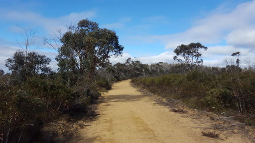 E - Bike (Electric) Guided Tour - Half Day - Hanging Rock - Blackheath - We Wander