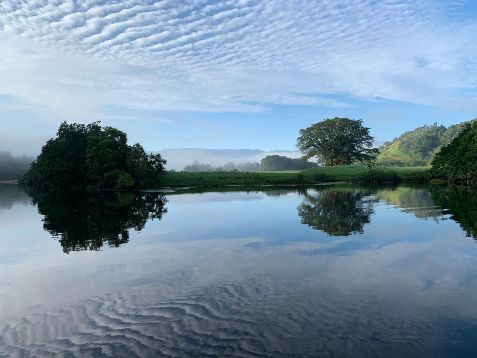 Early Morning Cruise - We Wander