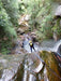 Empress Canyon Abseiling And Canyoning Adventure - Blue Mountains - We Wander