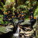 Empress Canyon Abseiling And Canyoning Adventure - Blue Mountains - We Wander