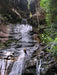 Empress Canyon Abseiling And Canyoning Adventure - Blue Mountains - We Wander