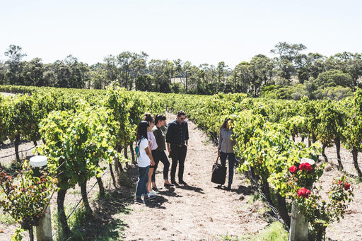 Estate Tour & Cheese Board - We Wander