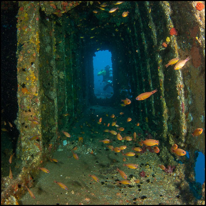 Ex - Hmas Brisbane Double Dive - We Wander