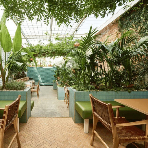 Experience Dinner At Babylonia - Fitzroy - We Wander