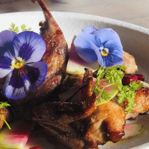 Experience Dinner At Casablabla Multicultural Tapas Lounge Bar - We Wander