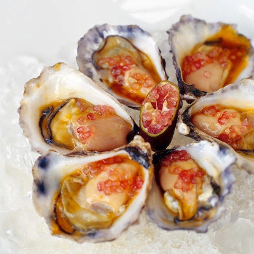 Experience Dinner At Fins Restaurant - We Wander