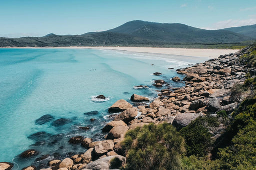 Experience Wilsons Promontory On A Full Day Tour - We Wander