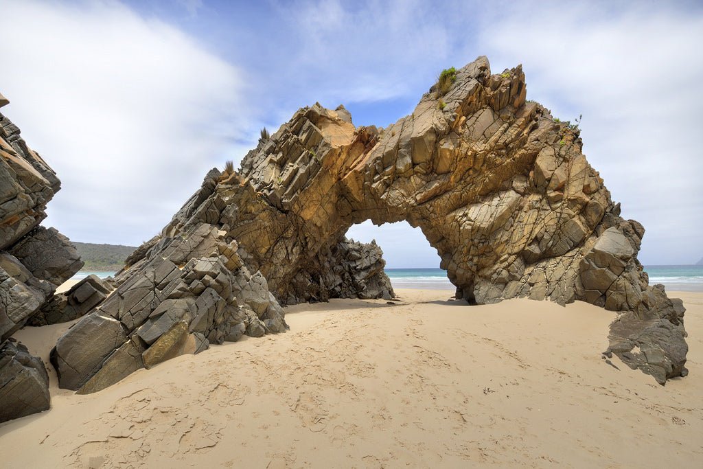 Family Bruny Island Discovery Tour - We Wander