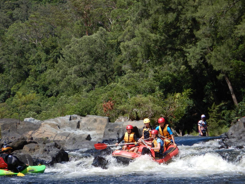 Family Whitewater Rafting - Day Trip - Includes Meals - We Wander