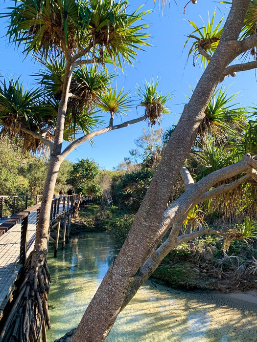 Fraser Island Beach House Tag - Along 4Wd Tour 2 - Day - We Wander