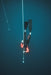 Freediving Course - Gold Coast - 2 Day - We Wander