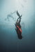 Freediving Course - Gold Coast - 2 Day - We Wander