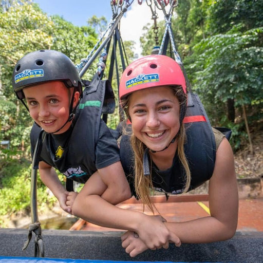 Giant Swing - We Wander