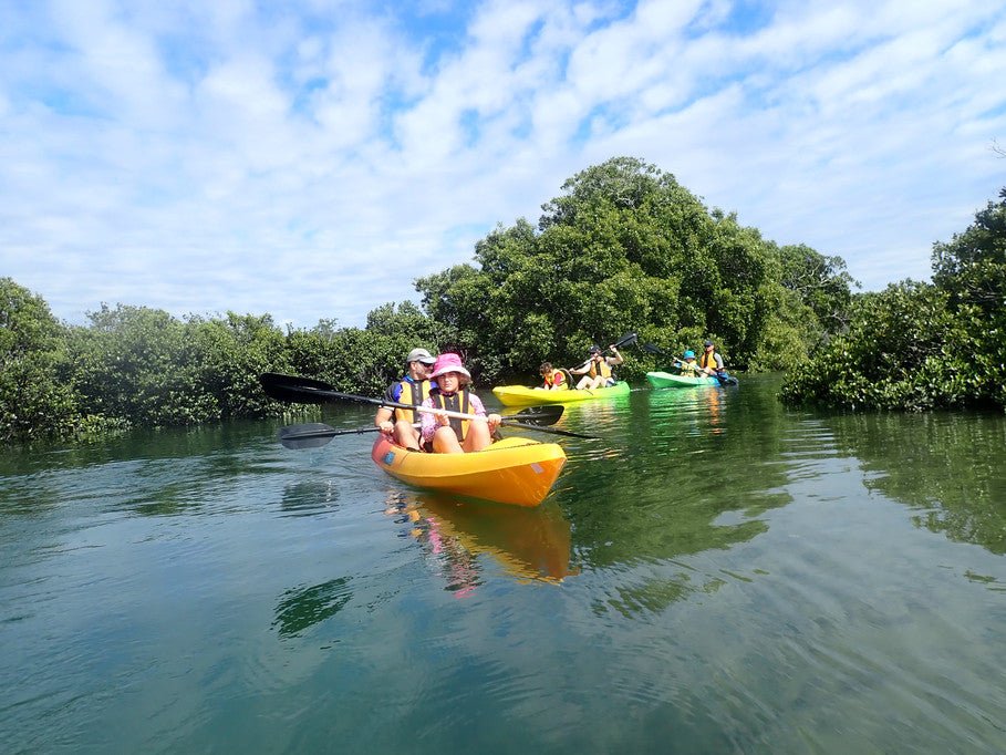 Glass Bottom Kayak Tour - Cullendulla Sanctuary - We Wander