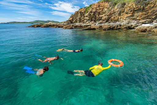 Guided Eco - Certified Snorkel Tour - We Wander