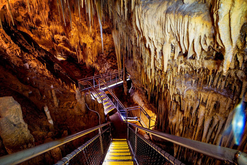 Hastings Caves, Thermal Springs And Tahune Airwalk - We Wander