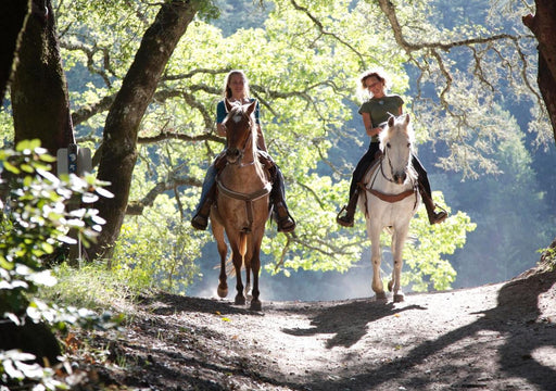 Heli - Horsing And Picnic - We Wander