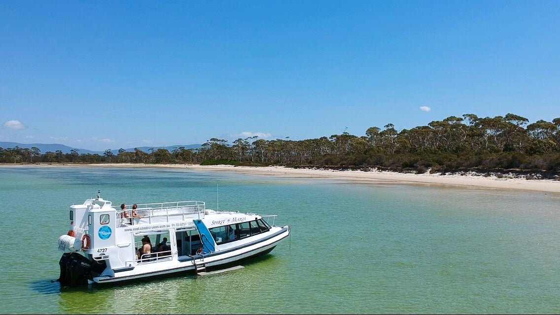 Ile Des Phoques / Maria Island Cruise & Walk Day Tour - We Wander