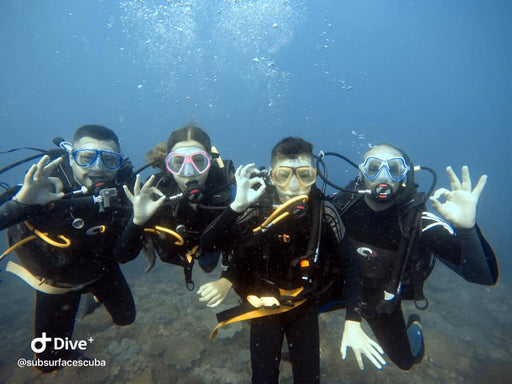 Introductory Dive Sunshine Coast Reefs - Double Dive - We Wander