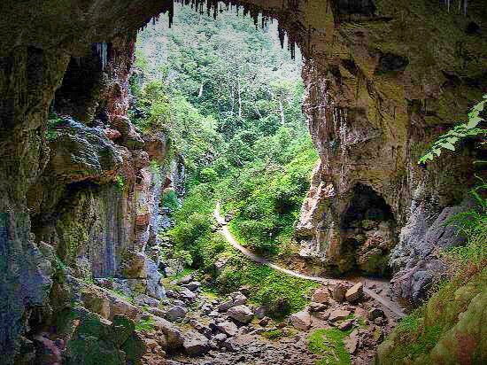 Jenolan Caves Blue Mountains Day Adventure + River Cruise - We Wander