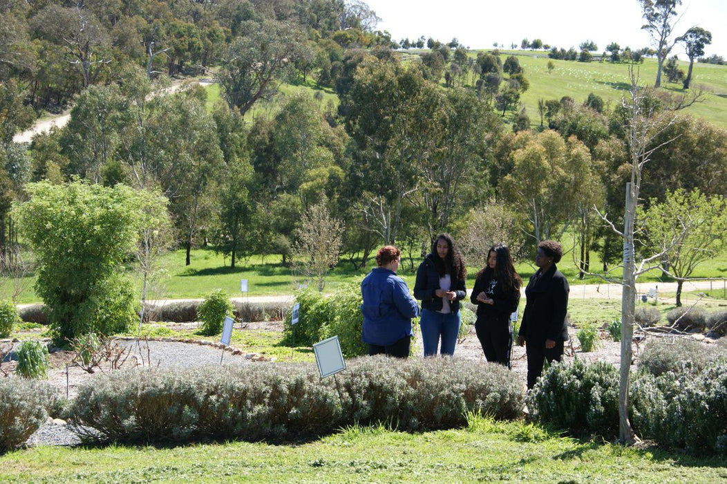 Jurlique Farm Tour & Hills Gourmet Picnic - We Wander