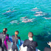 Kangaroo Island Ocean Safari - 2 Hour View Only Snorkelling Safari - We Wander