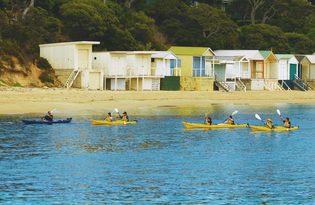 Kayak The Dolphin Sanctuary - We Wander