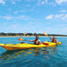 Kayak The Dolphin Sanctuary - We Wander