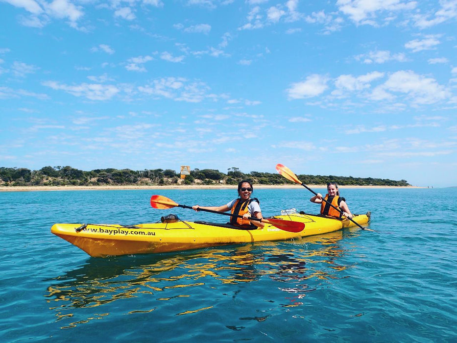 Kayak The Dolphin Sanctuary - We Wander