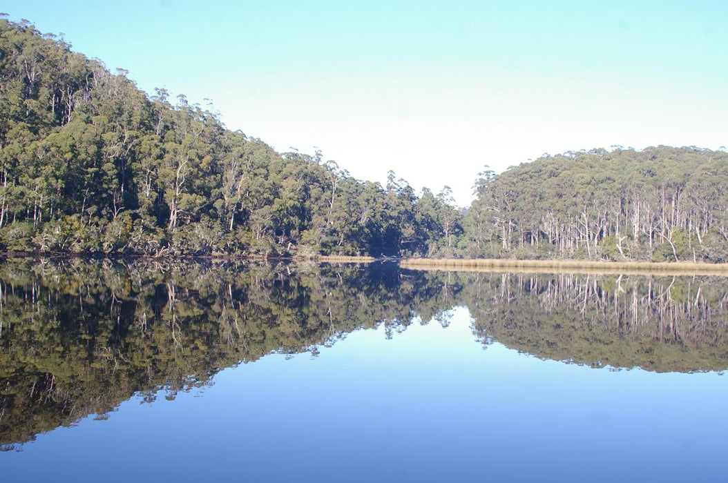 Leven River & History Cruise - We Wander