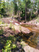 Litchfield Park Adventures + Berry Springs Natural Reserve - We Wander