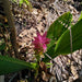 Litchfield Park Adventures + Berry Springs Natural Reserve - We Wander