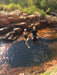 Litchfield Park Adventures + Berry Springs Natural Reserve - We Wander
