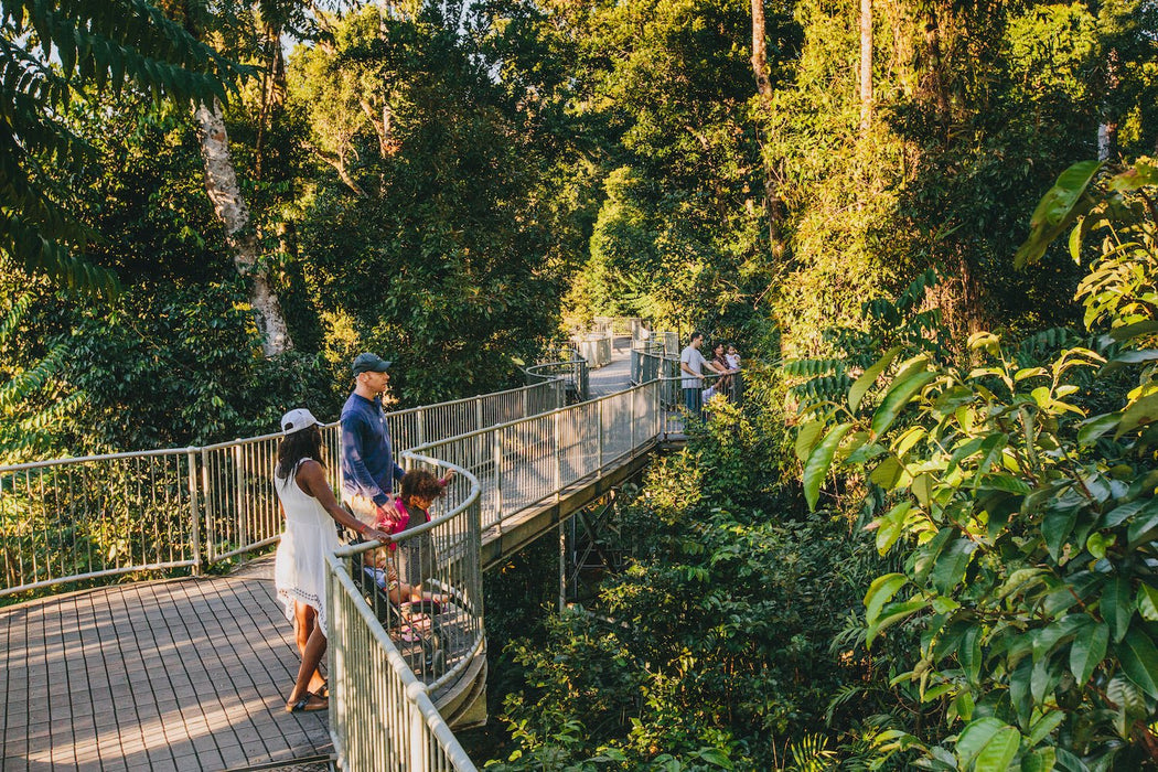 Mamu Tropical Skywalk Admission - We Wander