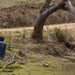 Maria Island National Park - Premium Private Photo - Oriented Day Tour - We Wander